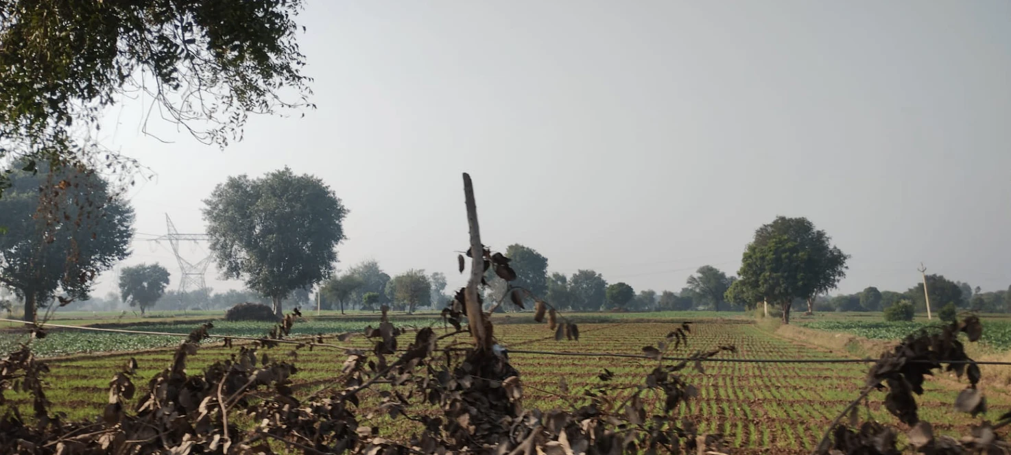 New Chandigarh, Punjab 140901, India
