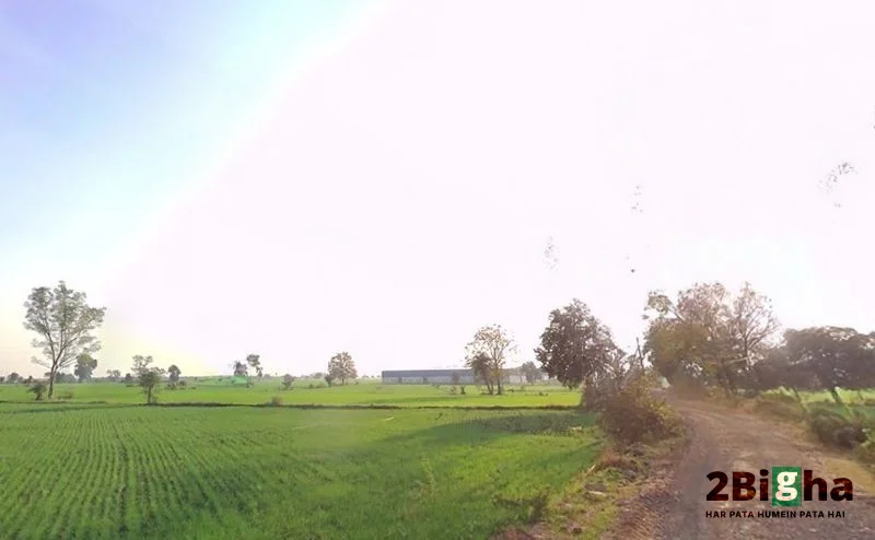 Ratibad, Madhya Pradesh 462044, India preview 2