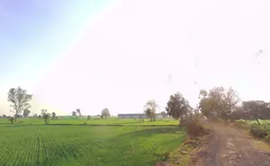 Ratibad, Madhya Pradesh 462044, India preview 2