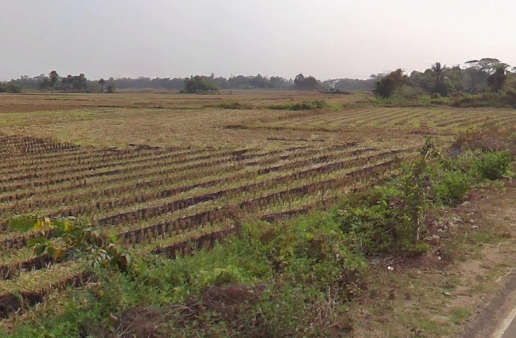 Jhalap, Chhattisgarh 493551, India