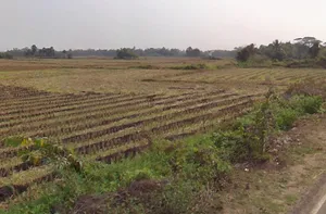 Jhalap, Chhattisgarh 493551, India preview 2