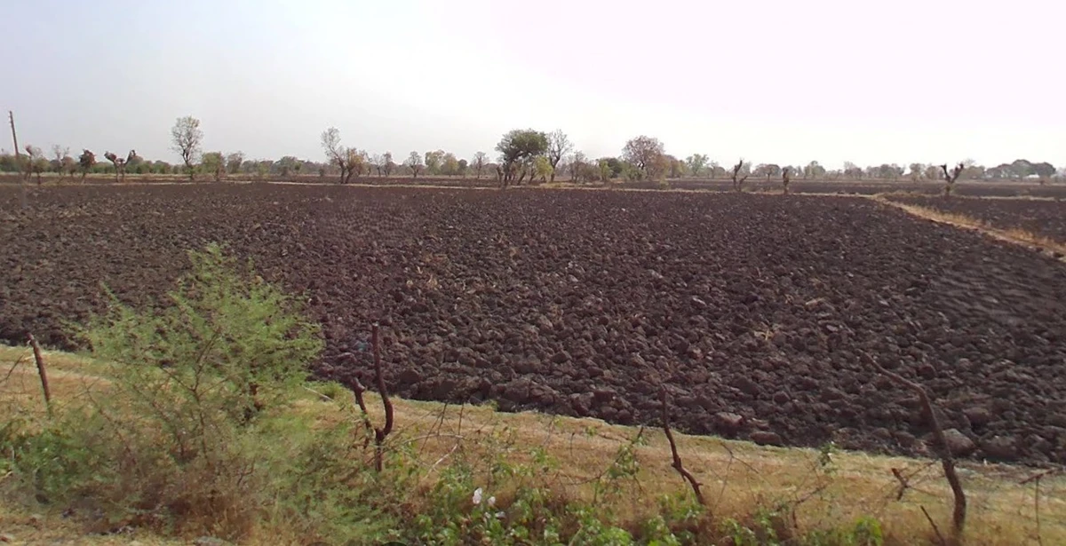 Tanodiya, Madhya Pradesh, India