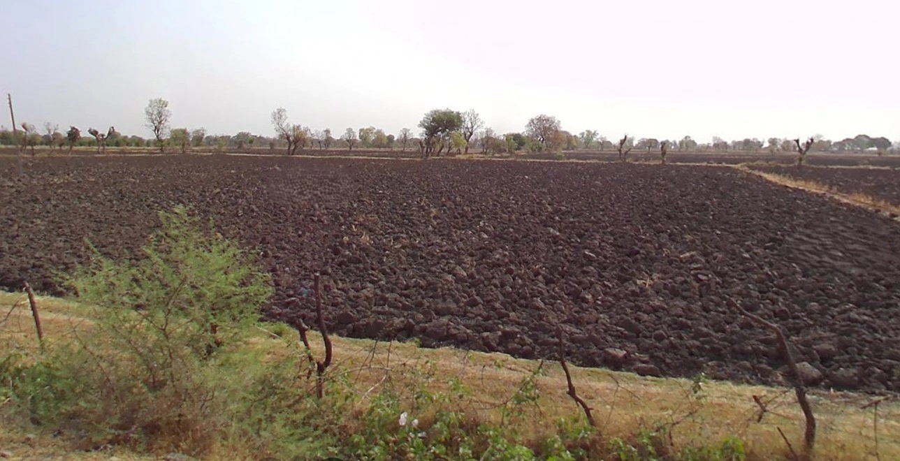 Tanodiya, Madhya Pradesh, India