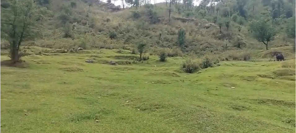 Baijnath, Himachal Pradesh, India