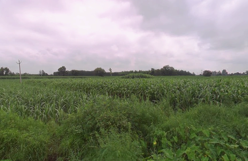 Jansath, Uttar Pradesh 251314, India