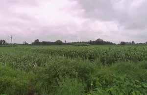 Jansath, Uttar Pradesh 251314, India preview 2
