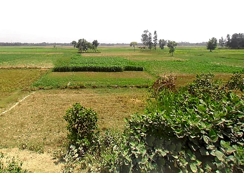 RQMQ+X8J, Pastamaphi, Meenapur Phagauli, Uttar Pradesh 224116, India preview 3