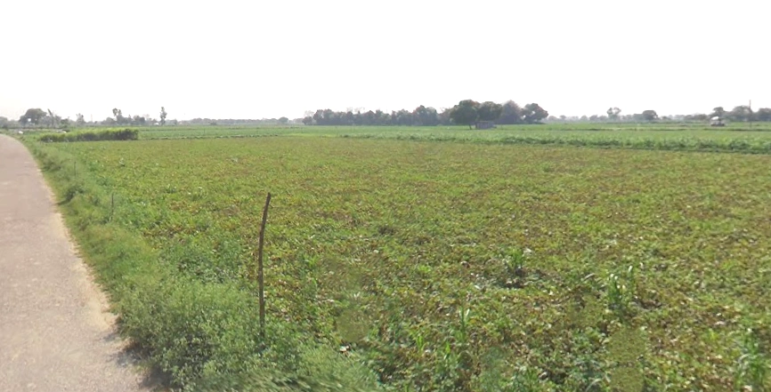 Shikarpur, Uttar Pradesh 203395, India