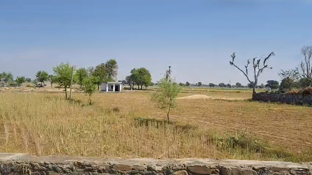 GVMQ+MQ9, Ladiyaka, Rajasthan, India