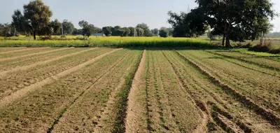 Dibai, Uttar Pradesh 203393, India preview 3