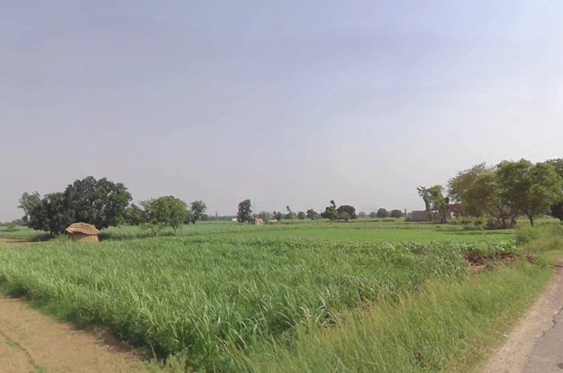 Alamgir Pur, Uttar Pradesh 250502, India