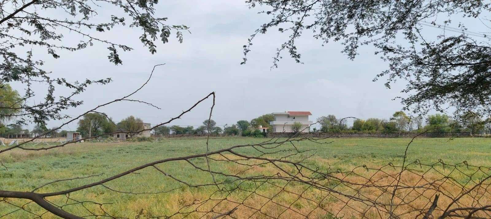 PXQ2+C4H, Dhorala, Rajasthan, India