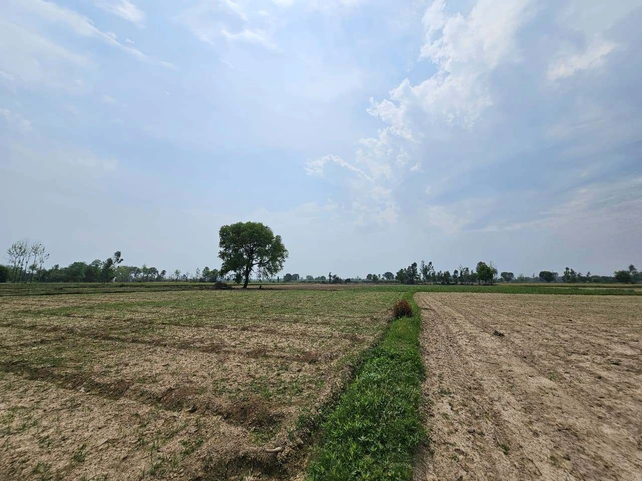 79R7+8V5, Bachhgaon, Uttar Pradesh 283204, India