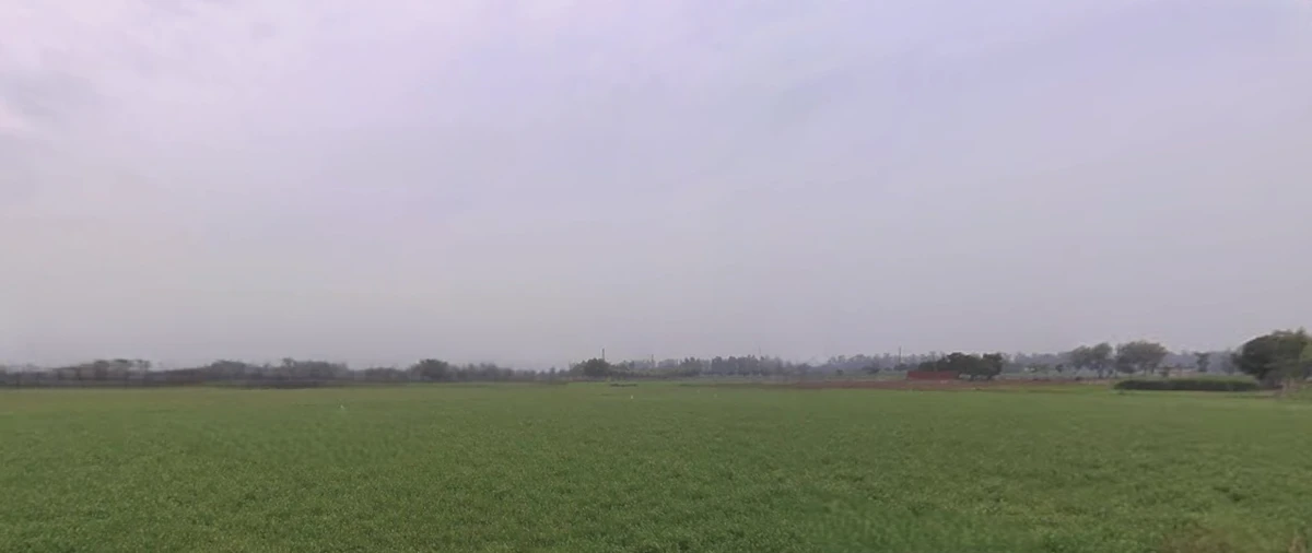 Rajpura, Punjab, India