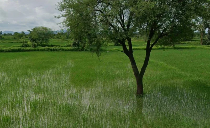 Khurdur, Chhattisgarh 495113, India preview 3