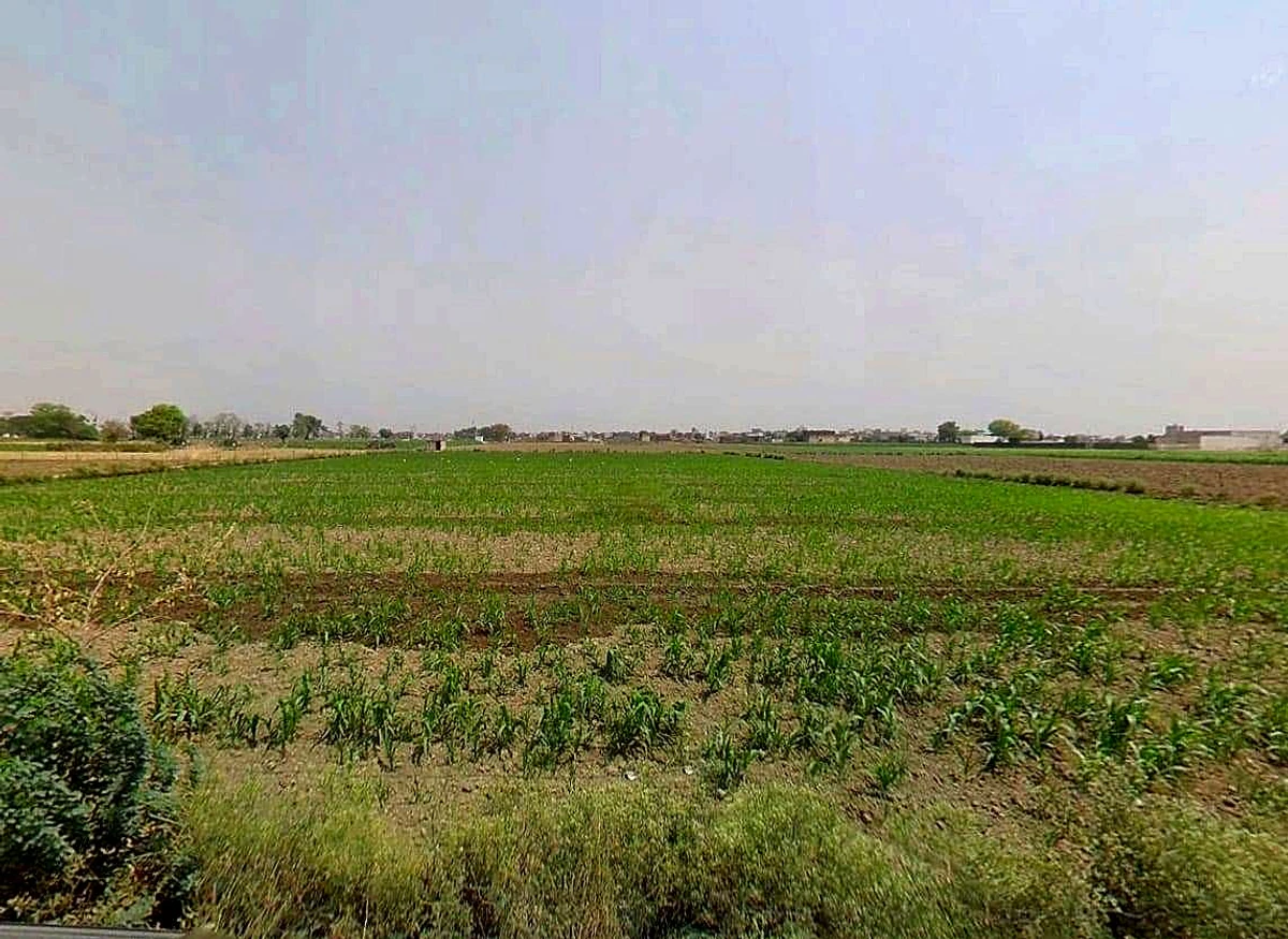 Sikandrabad, Uttar Pradesh 203205, India
