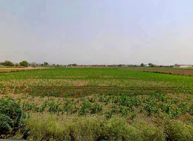 Sikandrabad, Uttar Pradesh 203205, India preview 3