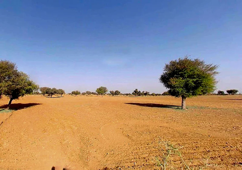 Dhani Boraj, Rajasthan 303328, India preview 3