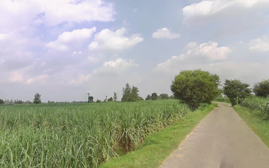 Budhana, Uttar Pradesh 251309, India
