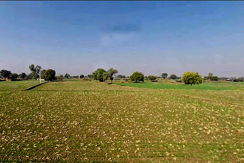 Morija, Rajasthan, India preview 2