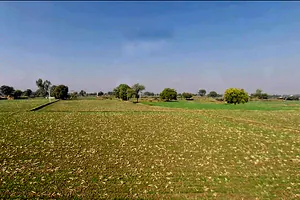 Morija, Rajasthan, India preview 2