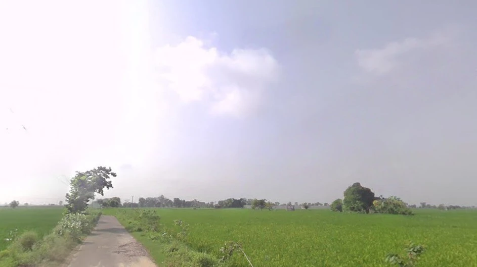 Jundla, Haryana 132036, India
