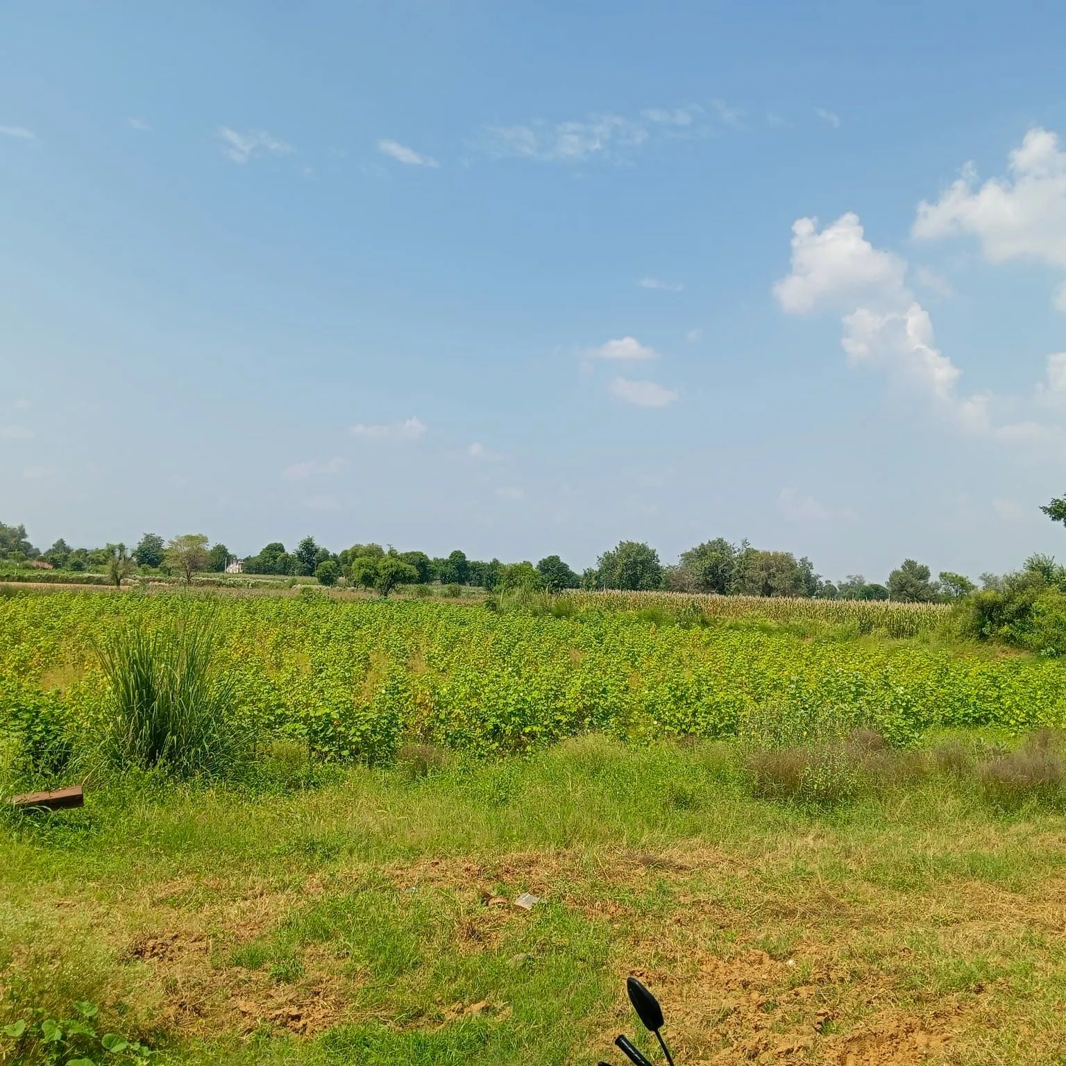 Nithari, Rajasthan
