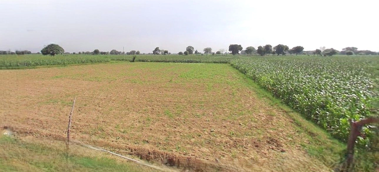 Barnagar, Madhya Pradesh 456771, India