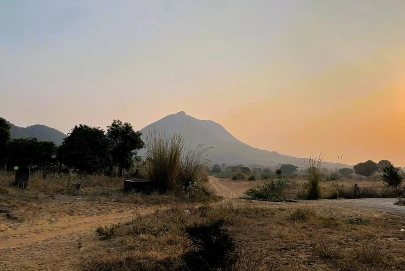 WX5J+GX9, Ruppur Sarai, Haryana 123023, India preview 3