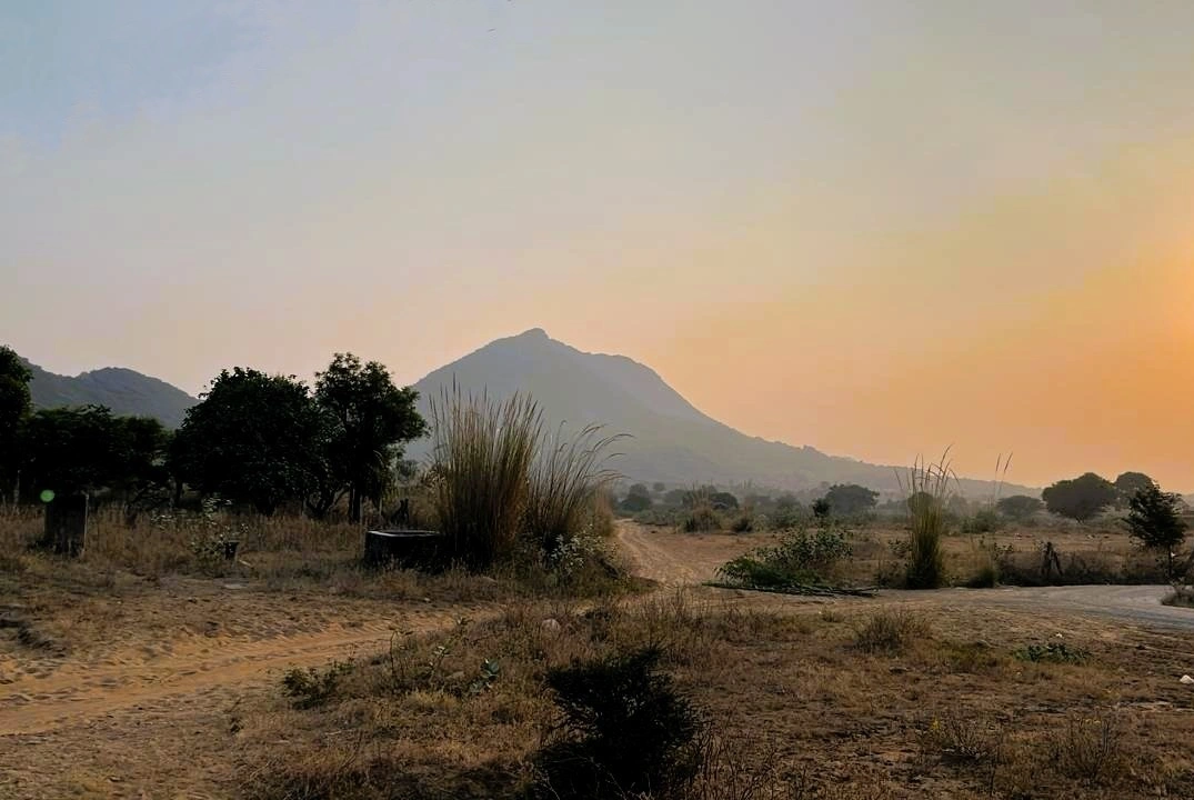 WX5J+GX9, Ruppur Sarai, Haryana 123023, India