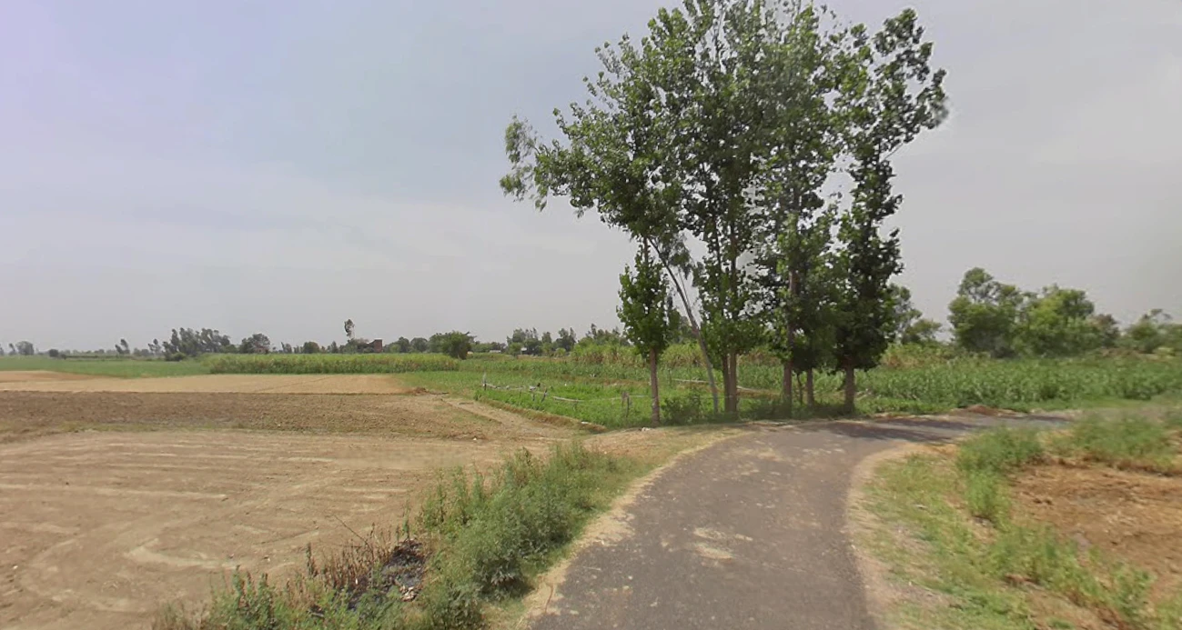 Hasanpur, Uttar Pradesh 244241, India