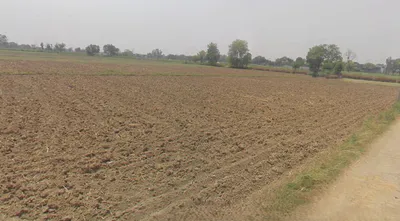 Siyana, Uttar Pradesh 203412, India preview 2