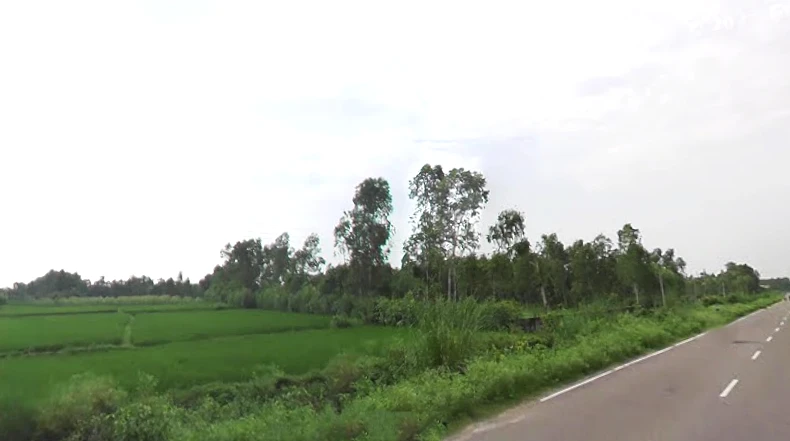 Badshahibagh, Uttar Pradesh 247122, India