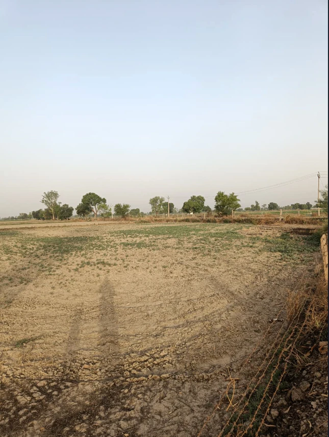 Charanwas, Rajasthan 332601, India