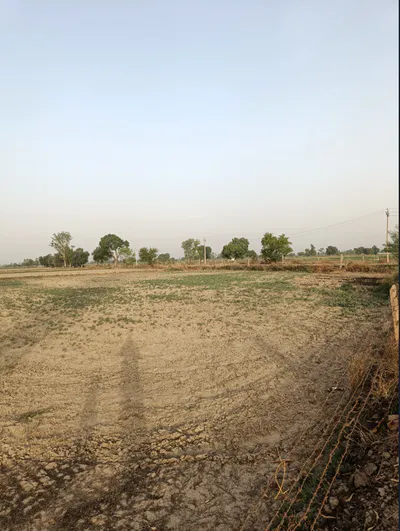 Charanwas, Rajasthan 332601, India preview 3