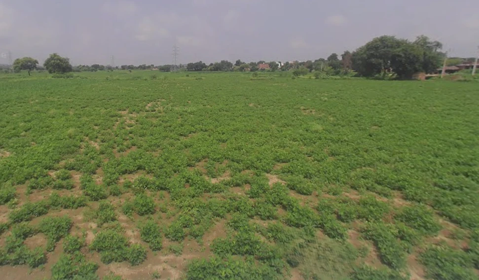 Chunar, Uttar Pradesh 231304, India