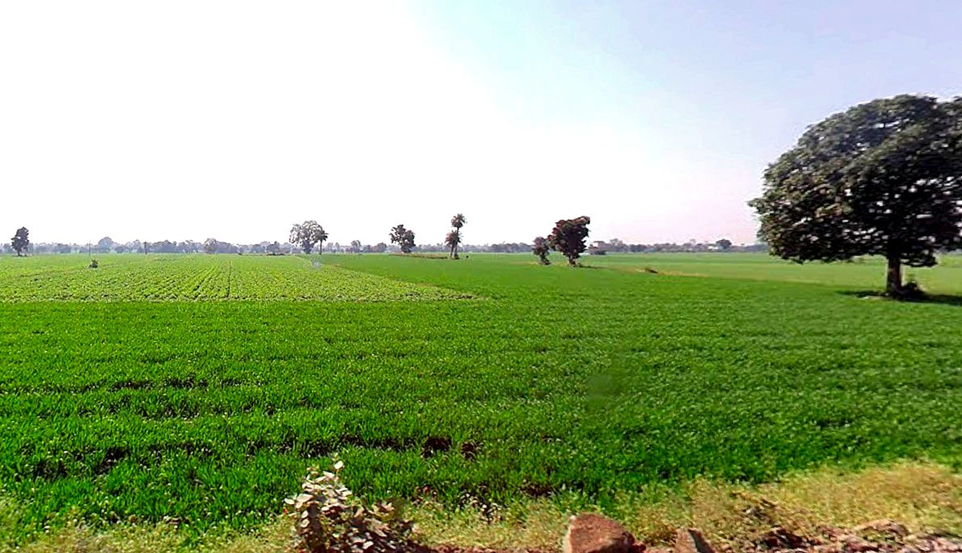 Kolshet, Thane West, Thane, Maharashtra 400607, India