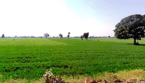 Kolshet, Thane West, Thane, Maharashtra 400607, India preview 3