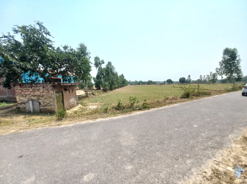 Barnagar, Madhya Pradesh 456771, India
