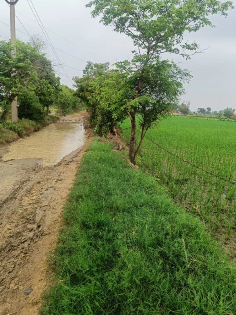 Bukharari, Mathura, Uttar Pradesh, India