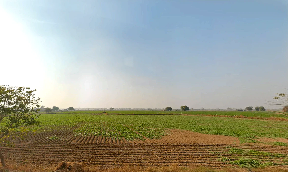 Baliyali, Haryana 127032, India