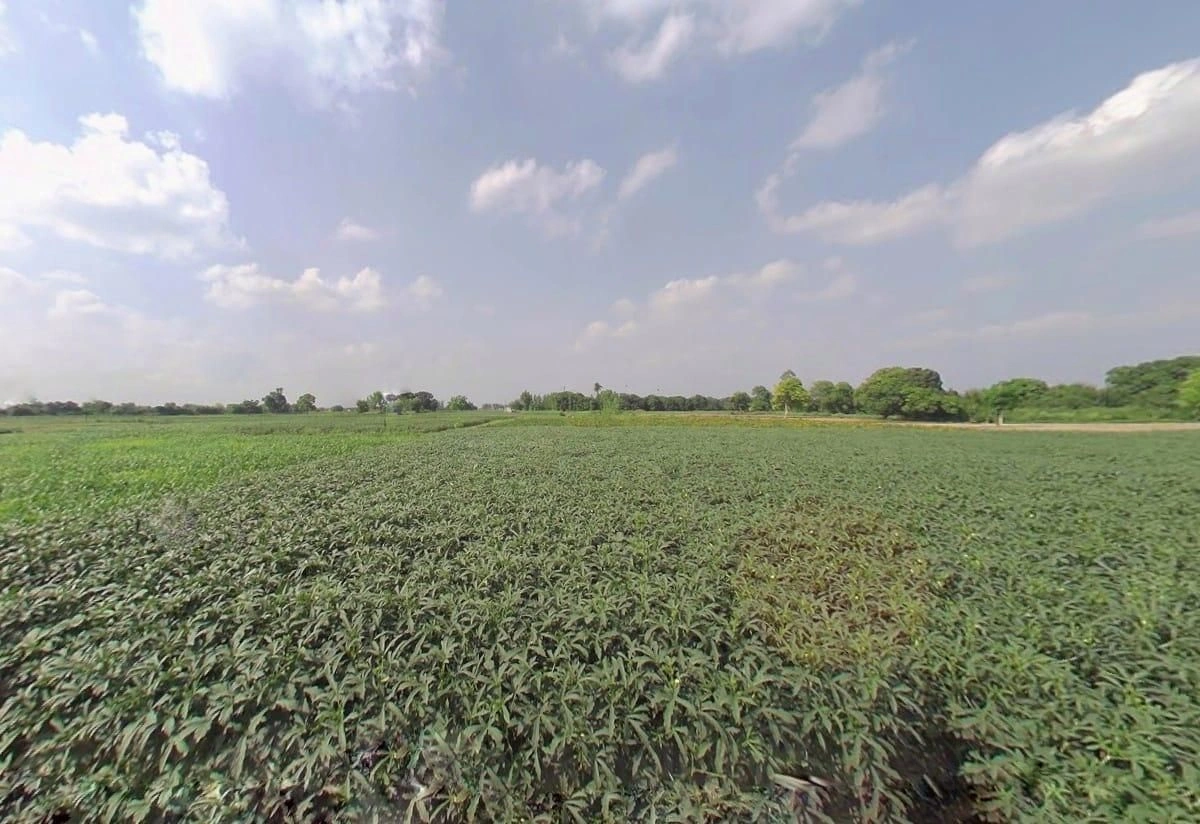 Uldhan, Uttar Pradesh 245206, India