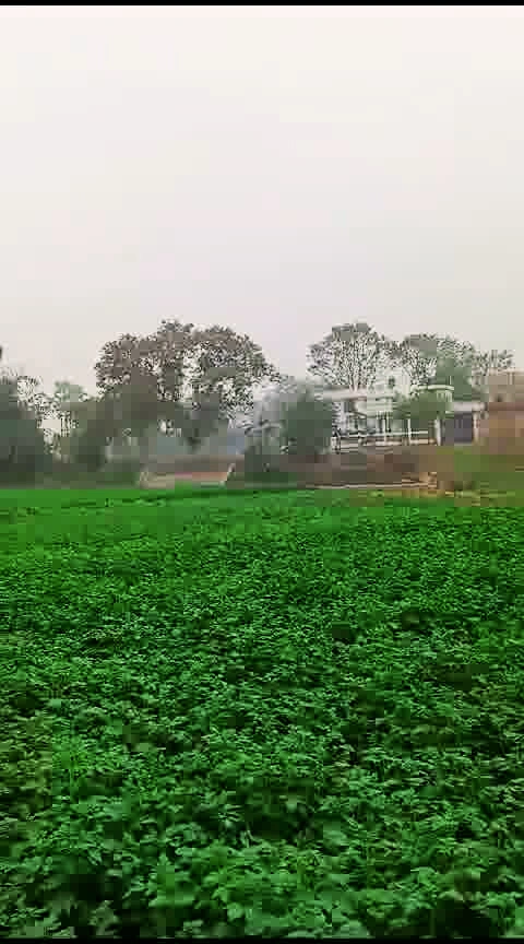 Bhathahi, Bihar, India