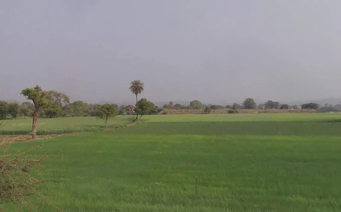 Ronsara, Madhya Pradesh 487330, India