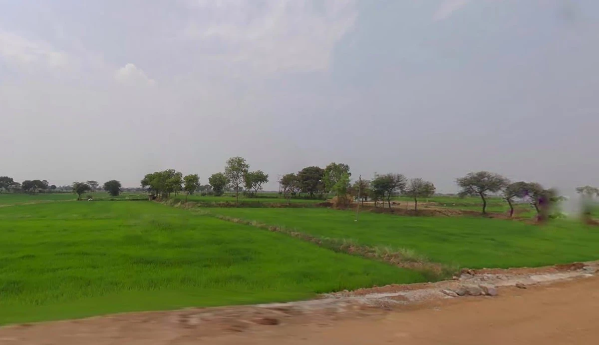 Parsada, Chhattisgarh 493445, India