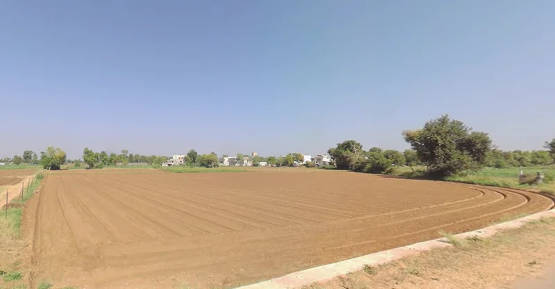 CGQP+9Q Khadiya, Gujarat, India preview 3