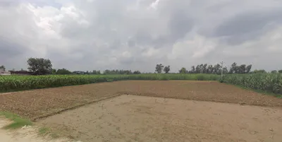 Ramnagar, Uttarakhand 244715, India preview 3