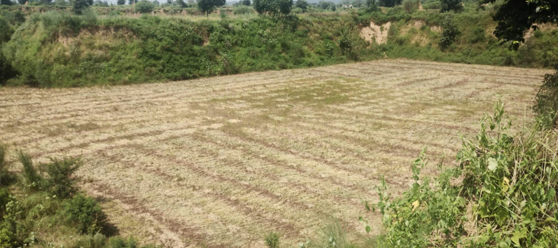 Tangra, Punjab, India