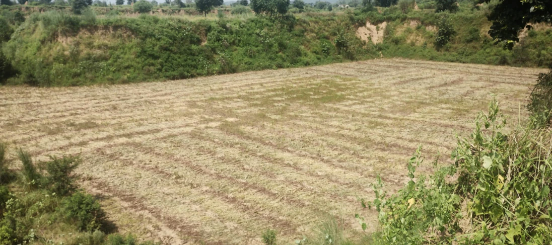 Tangra, Punjab, India