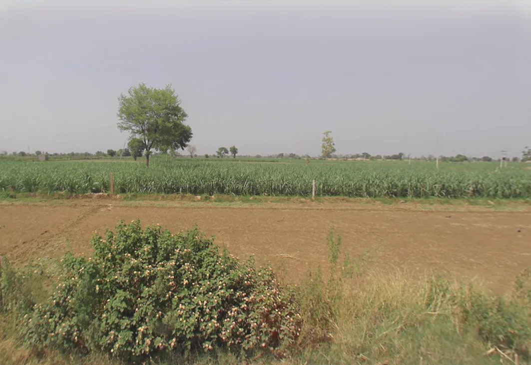 Baraut, Uttar Pradesh 250611, India
